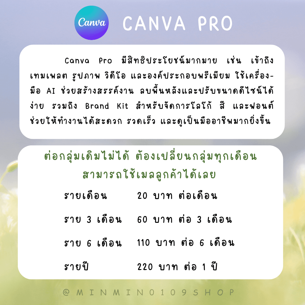 Canva Pro